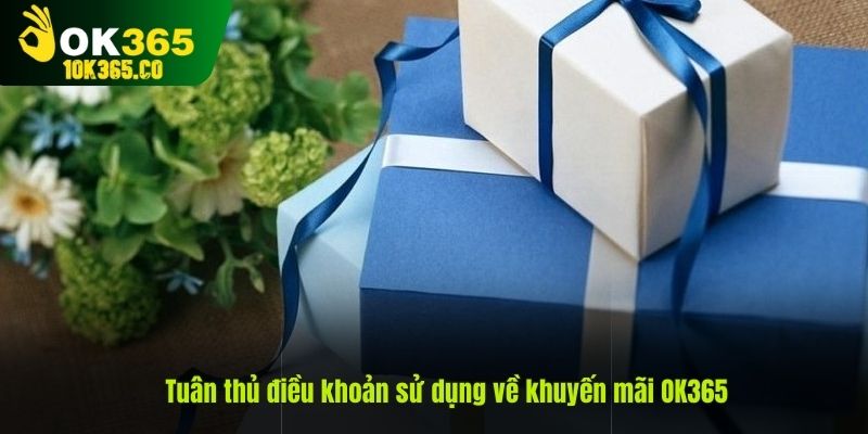 Tuân thủ điều khoản sử dụng về khuyến mãi OK365