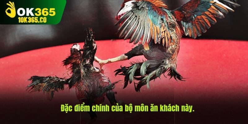 Đặc điểm chính của bộ môn ăn khách này.