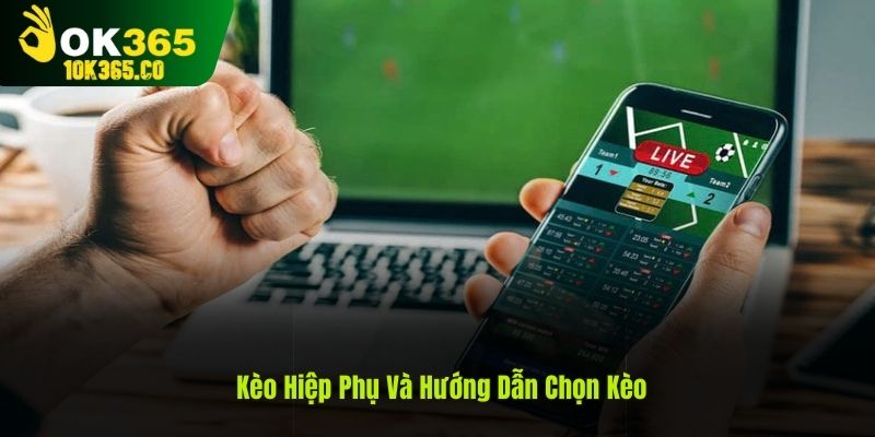 Hướng dẫn chọn kèo và nhận thưởng cược theo tip của cao thủ