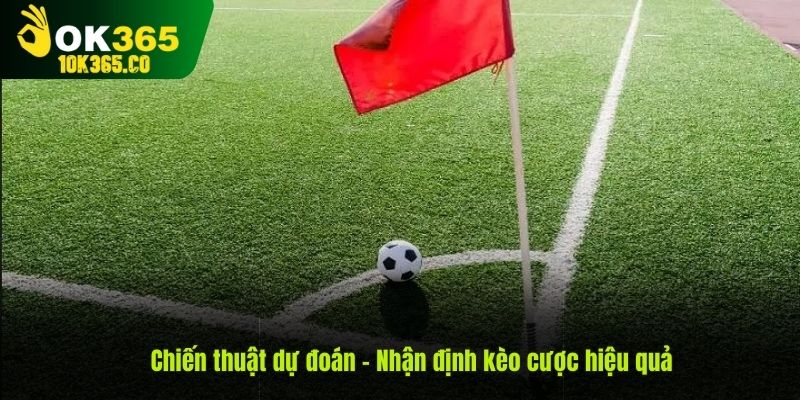 Chiến thuật dự đoán - nhận định kèo cược hiệu quả