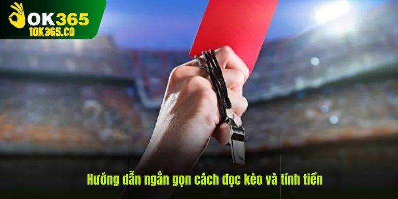 Hướng dẫn đơn giản và dễ hiểu cho fan mới