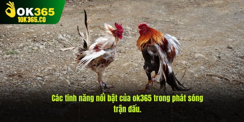 Các tính năng nổi bật của ok365 trong phát sóng trận đấu.